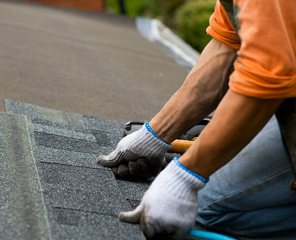 Best Slate Roofing Contractor  in Polo, IL