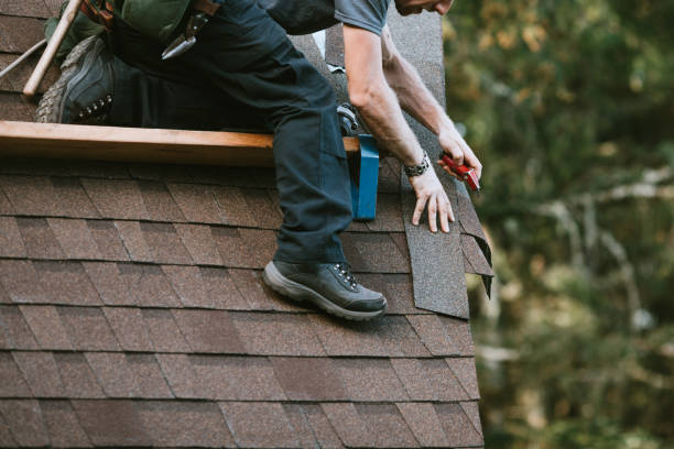 Best Roofing Contractor Near Me  in Polo, IL